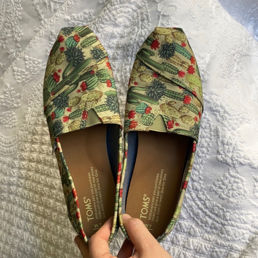 Cacti Toms